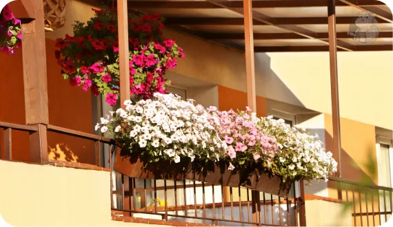 skrzynki balkonowe z kwiatami zawieszone na poręczy